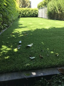Remuera home