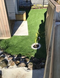 Papatoetoe Daycare