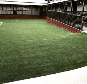 Primary School Auckland