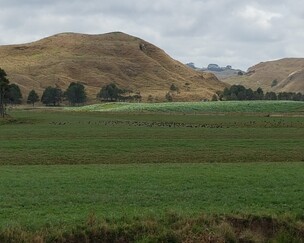 Limestone Downs | C. Alma Baker Trust