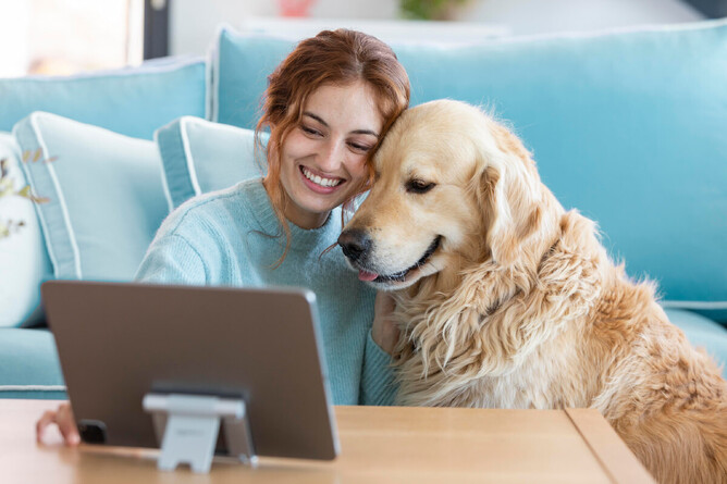 person and their dog enjoying reading a marketing blog