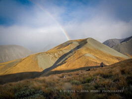 Shepherd and dogs under rainbow. Autumn Muster.  Lake Heron Station, Canterbury High Country, New Zealand