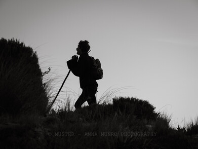 Silhouetted shepherd looking up hill for merinos. Autumn Muster.  Lake Heron Station, Canterbury High Country, New Zealand