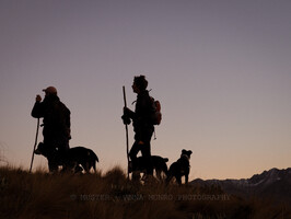 Sillhouetted shepherds and dogs.  Autumn Muster.  Lake Heron Station, Canterbury High Country, New Zealand