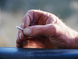 Shepherd's hand with roll your own cigarette. 