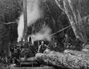THE BURNING OF THE WAIMATE BUSH, 1878