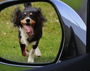 Win a $60 Harvey Norman Voucher!