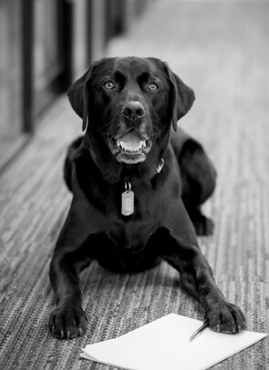 Tag Maguire - Chief Happiness Officer