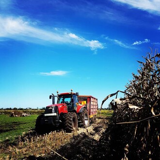 Photo courtesy of Alastair