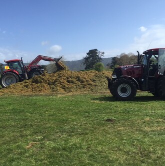 Photo courtesy of John & LeeAnn