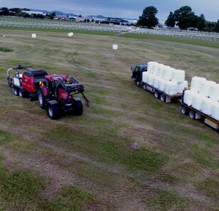 Photo courtesy Stephen