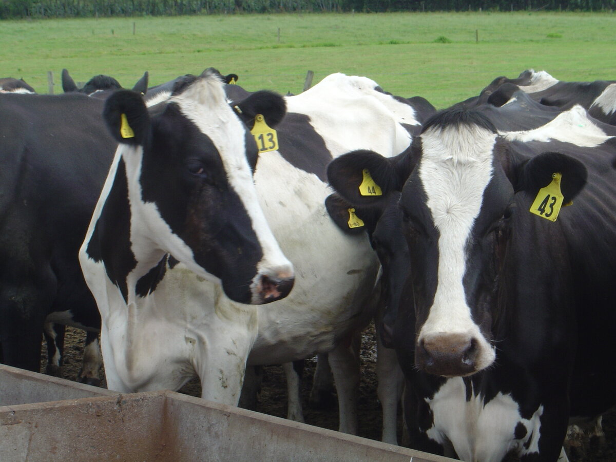 The Farm Office Dairy Farm Expense Price Index up