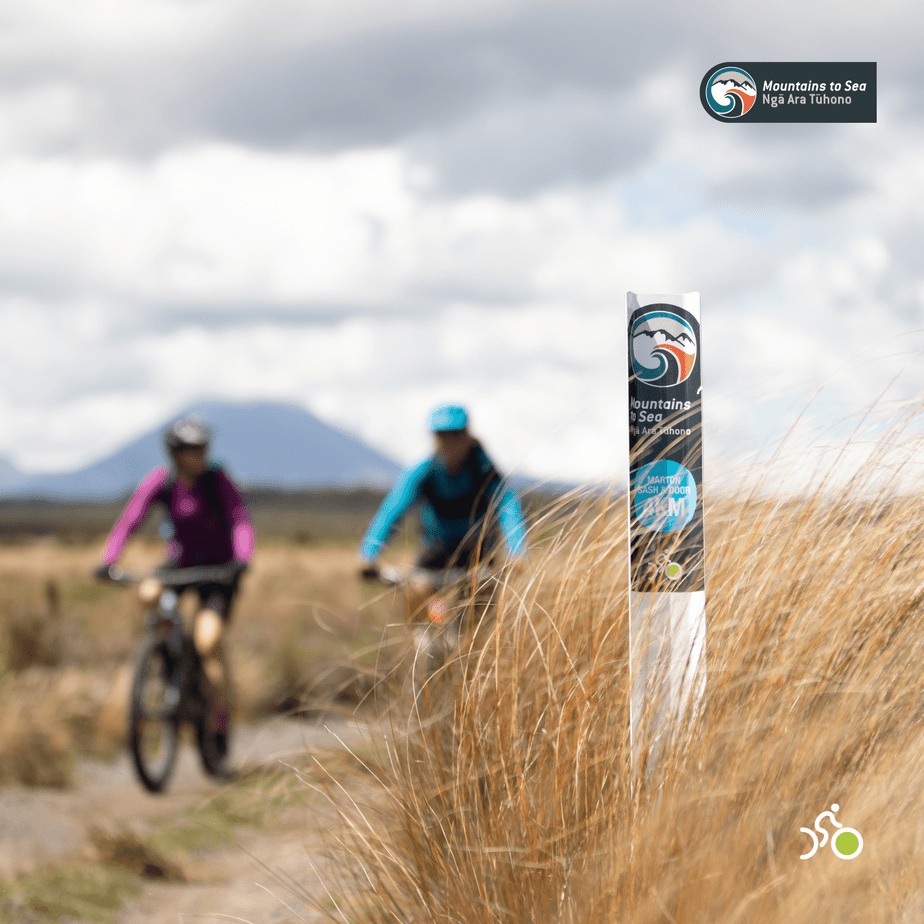 Mountains to Sea | Marton Sash and Door