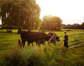 RISK MANAGEMENT FOR FARMERS - 5 THINGS YOU SHOULD KNOW ABOUT YOUR INSURANCE PLAN