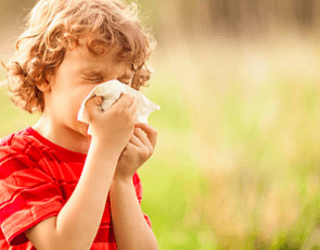 Hayfever & Allergies