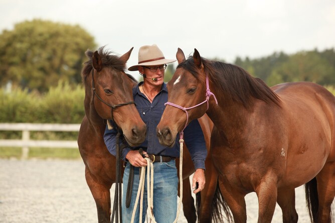 Russell Higgins between to horses