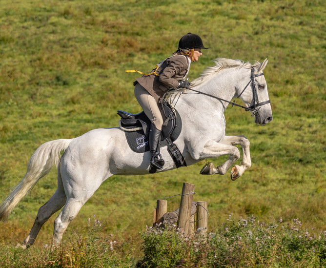 Image 4: SMART Elite Hunter jump in action.