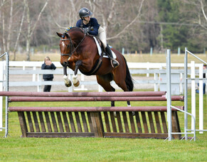 Show Hunter Joins Equifest for the First Time