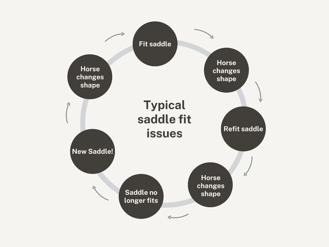 Image 1: Life cycle of typical saddle issues.