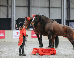 A Fresh Take on Future Stars