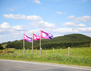 Equifest 2025 VIP and Supporters Weekend Passes On Sale Now!