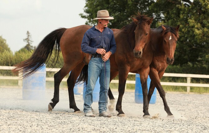 Russell Higgins working with horses