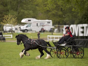 Scurrying - Horowhenua & Districts Harness Driving