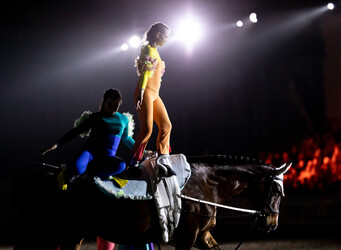 Vaulting - Kapiti Equestrian & Vaulting Club