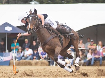 Polocrosse - NZ Polocrosse