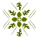 Photographic Art by Mel Waite Photographer 