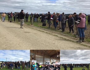 October 2022 Field Day