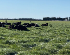 HubWatch &ndash; 14 November 2025