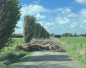 HubWatch &ndash; 24 October 2025