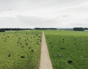 Media Release: Southern Dairy Hub General Manager moves to new pastures