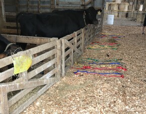 Field Day March 2022