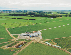 Media Release: Southern Dairy Hub simplifying their operating and governance model