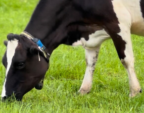 HubWatch &ndash; 12 December 2025