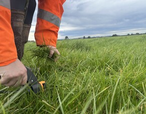 HubWatch &ndash; 26 September 2025