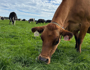 HubWatch &ndash; 7 March 2025