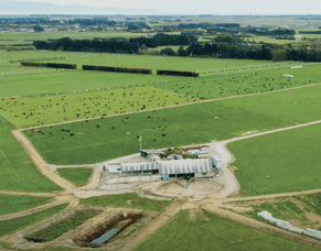 The Research at your Doorstep: Wintering Guide &ndash; 2025