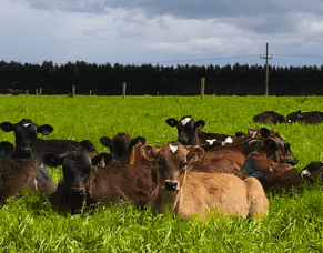 HubWatch &ndash; 31 October 2025