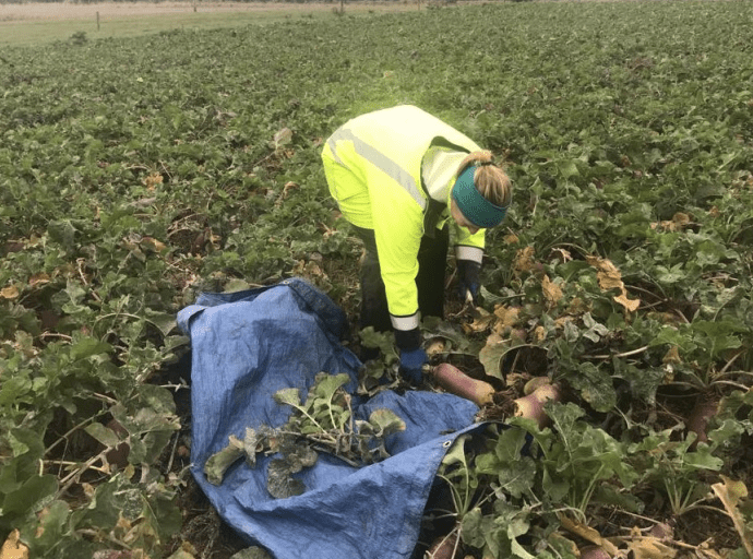 weekly-notes-21st-april-2022-southern-dairy-hub