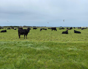 HubWatch &ndash; 19 September 2025