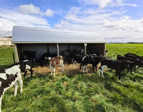 HubWatch &ndash; 17 October 2025