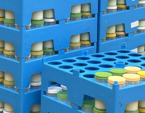 HubWatch &ndash; 19 December 2025