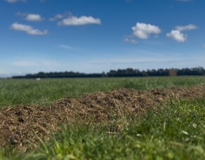 HubWatch &ndash; 3 October 2025