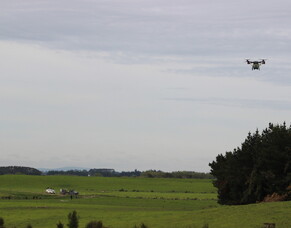 HubWatch &ndash; 7 November 2025