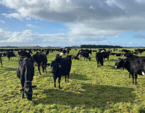 HubWatch &ndash; 5 September 2025