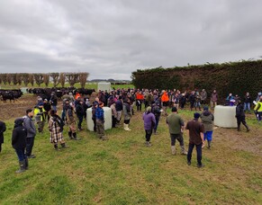 Field Day 6 July 2022