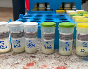 HubWatch &ndash; 21 February 2025